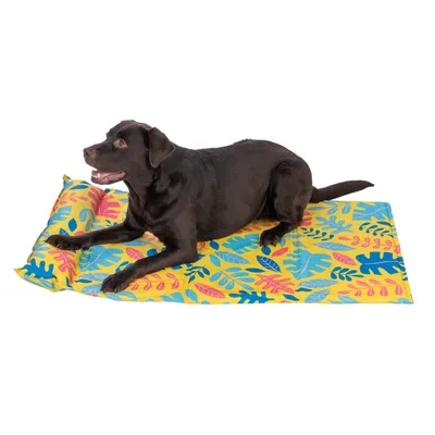 Pies leży na żółtej macie z kolorowym wzorem liści. Produkt pokazuje użycie maty jako powierzchni do leżenia.
