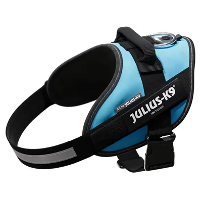 Harnais bleu pour chien avec poignée, boucle en métal et étiquette visible : JULIUS-K9 IDC-POWER. Marque JULIUS-K9 également inscrite sur la sangle.