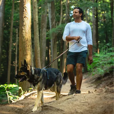 Mann führt einen Hund an der Leine durch einen Waldweg. Der Hund trägt ein Geschirr.