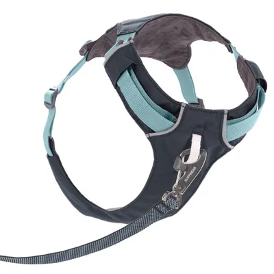 Ruffwear Hundegeschirr in Schwarz und Blau mit verstellbaren Gurten, gepolstertem Innenmaterial und Metallring zur Befestigung der Leine.