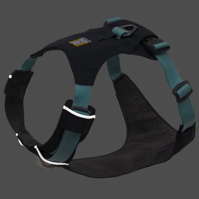 Schwarzes Hundegeschirr mit gepolstertem Brustbereich, verstellbaren grünen Gurten und Metallring für Leinenbefestigung.
