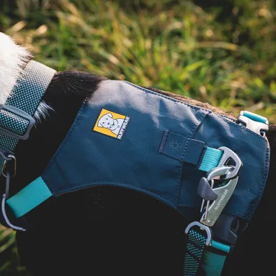 Ruffwear Hundegeschirr in Blau mit robusten Metallverschlüssen und reflektierenden Details, getragen von einem Hund. Logo sichtbar auf der Seite des Geschirrs.