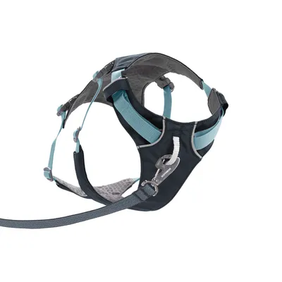 Hondentuig in zwart en blauw met verstelbare banden, gevoerde binnenvoering en metalen clip voor lijnbevestiging.