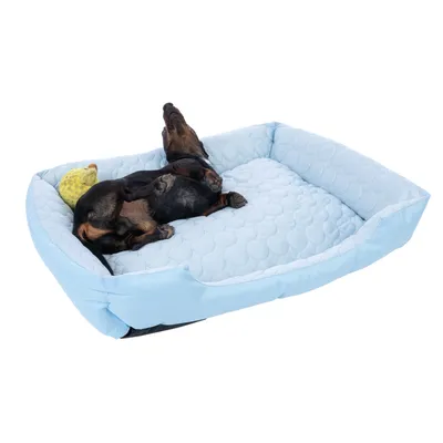 Pies leży wygodnie w jasnoniebieskim legowisku dla psa z wyściełaną powierzchnią, obok żółta zabawka.