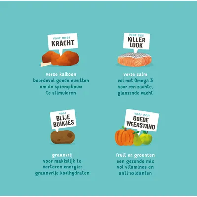 Voor meer kracht: verse kalkoen, boordevol goede eiwitten. Voor een killer look: verse zalm met Omega 3. Voor blije buikjes: graanvrij. Voor goede weerstand: fruit en groenten.