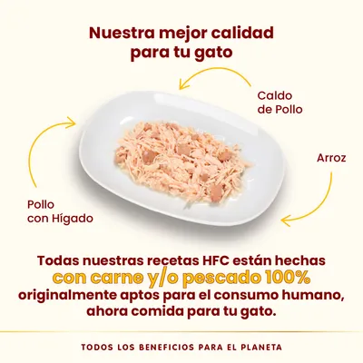 Pack Ahorro Almo Nature HFC 24 x 70 g