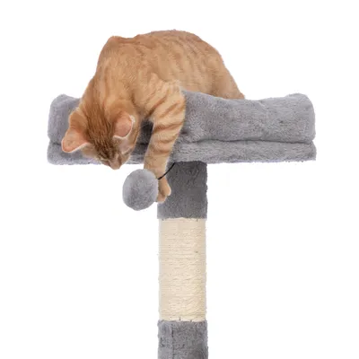 Cat tree with grey lying surface and sisal post, with an orange cat playing with a hanging ball.
