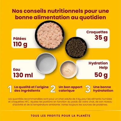 Conseils nutritionnels pour chat adulte 4 kg : pâtées 110 g, croquettes 35 g, eau 130 ml, Hydration Help 50 g. Qualité des ingrédients, apport calorique, bonne hydratation.