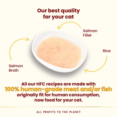 Miska s lososovým vývarom, filetou z lososa a ryžou. Text: 100 % human-grade meat and/or fish, pôvodne vhodné pre ľudskú spotrebu, teraz krmivo pre vašu mačku. Text v angličtine.