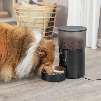 Automatische voerdispenser met zwart design, gevuld met droogvoer. Hond eet uit de geïntegreerde voerschaal.