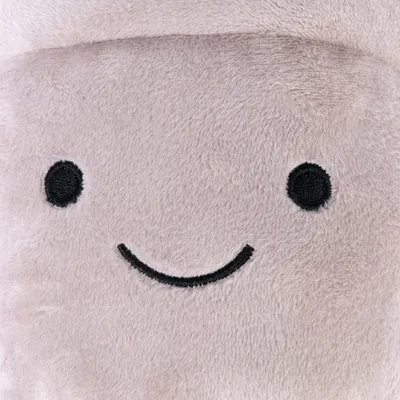 Gros plan sur un jouet en peluche beige avec visage brodé, deux yeux noirs et un sourire noir. Matière : tissu doux.