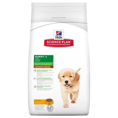 Hill's Science Plan Puppy <1 Large Breed Chicken -koiranruokapakkaus. Teksti: Healthy Development, supports healthy brain, eye & skeletal development, easy to digest, high quality ingredients.