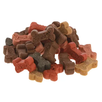 Mélange de friandises pour chien en forme d’os, couleurs marron, rouge, beige et noir, sans emballage visible.