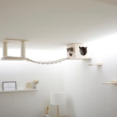 Arbre à chat mural en bois clair avec pont suspendu, griffoirs, cube avec deux chats visibles dans des ouvertures en forme de tête de chat, étagères murales assorties.