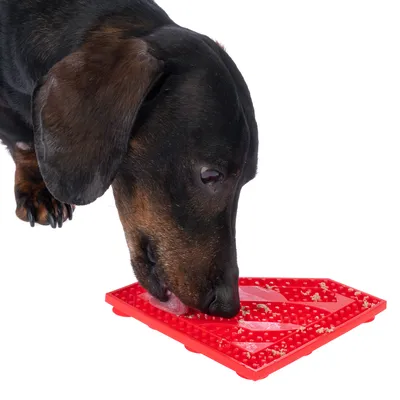 Hond likt rode likmat met voerresten. Product voor bezigheid en langzaam voeren zichtbaar.