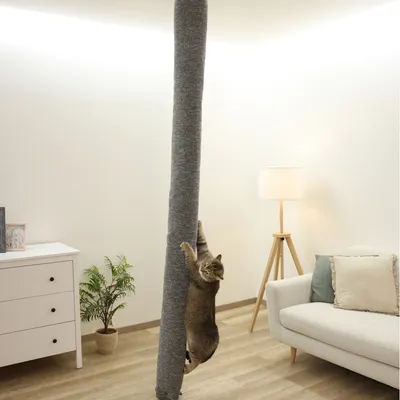Griffoir colonne verticale en tissu gris, fixé du sol au plafond, avec un chat accroché dessus dans un salon moderne.