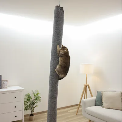 Chat accroché à un grand poteau à griffer gris, fixé du sol au plafond dans un salon moderne avec canapé, lampe et plante. Le matériau du poteau semble être en tissu.