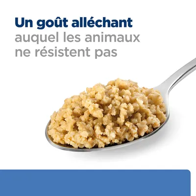 Texte : Un goût alléchant auquel les animaux ne résistent pas. Cuillère en métal contenant de la pâtée pour animaux.