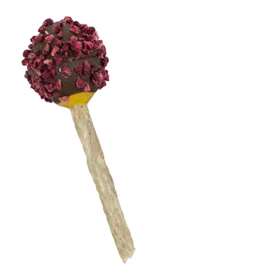 Snack in Lollipop-Form mit gelbem Kern, umhüllt von dunkler Masse und roten Stückchen. Stiel aus natürlichem Material.