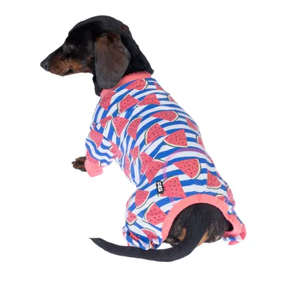 Hund trägt einen gestreiften Overall mit Wassermelonen-Muster und rosa Bündchen. Sichtbares Logo: Fuzzyard.