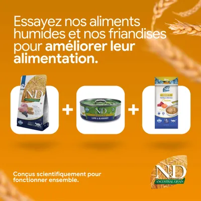 Essayez nos aliments humides et nos friandises pour améliorer leur alimentation. Élaborés scientifiquement pour agir en synergie. Illustré : N&D Ancestral Céréales, N&D Prime Agneau & Myrtille, N&D Adulte Crème. Essayez nos aliments humides et nos friandises pour améliorer leur alimentation. Élaborés scientifiquement pour agir en synergie. Illustré : N&D Ancestral Céréales, N&D Prime Agneau & Myrtille, N&D Adulte Crème.