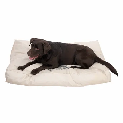 Hund ligger på en stor, rektangulär hundbädd med ljus tygöverdrag. Ingen synlig text eller varumärke på bädden.
