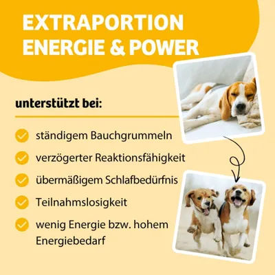 EXTRAPORTION ENERGIE & POWER, unterstützt bei: ständigem Bauchgrummeln, verzögerter Reaktionsfähigkeit, übermäßigem Schlafbedürfnis, Teilnahmslosigkeit, wenig Energie bzw. hohem Energiebedarf. EXTRAPORTION ENERGIE & POWER, unterstützt bei: ständigem Bauchgrummeln, verzögerter Reaktionsfähigkeit, übermäßigem Schlafbedürfnis, Teilnahmslosigkeit, wenig Energie bzw. hohem Energiebedarf.