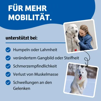 Für mehr Mobilität. Unterstützt bei Humpeln oder Lahmheit, verändertem Gangbild oder Steifheit, Schmerzempfindlichkeit, Verlust von Muskelmasse, Schwellungen an den Gelenken. Für mehr Mobilität. Unterstützt bei Humpeln oder Lahmheit, verändertem Gangbild oder Steifheit, Schmerzempfindlichkeit, Verlust von Muskelmasse, Schwellungen an den Gelenken.