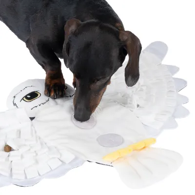 Hund spielt mit einer weissen Schnüffelmatte in Form einer Eule, mit verschiedenen Stoffelementen und versteckten Taschen für Leckerlis.