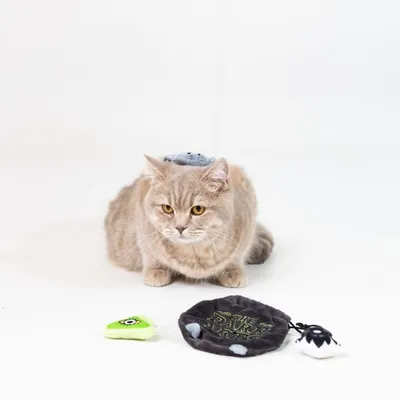 Chat beige assis avec une petite peluche grise sur la tête, devant trois jouets en tissu : un vert, un rond noir avec texte et un blanc avec ficelle noire.