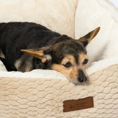Hundebett aus beigem Plüsch mit braunem Label 'Modern Living'.