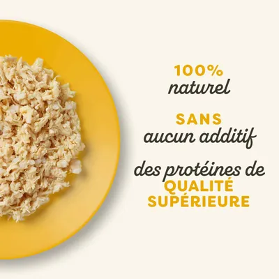 Lot mixte Applaws Cat Pots 8 x 60 g pour chat - sélection au poulet