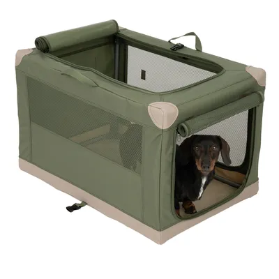 Caja de transporte verde con ventanas de malla y un perro mirando por la puerta abierta. Diseño portátil con asas y esquinas redondeadas.