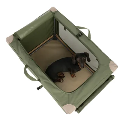 Caja de transporte verde con ventanas de malla, marco de metal y asas. Perro pequeño sentado dentro sobre suelo beige.
