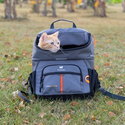Ferplast Voyager Backpack 40, grauer Rucksack mit orangefarbenen Akzenten, Katze schaut aus der oberen Öffnung heraus. Geeignet für den Transport von Haustieren.