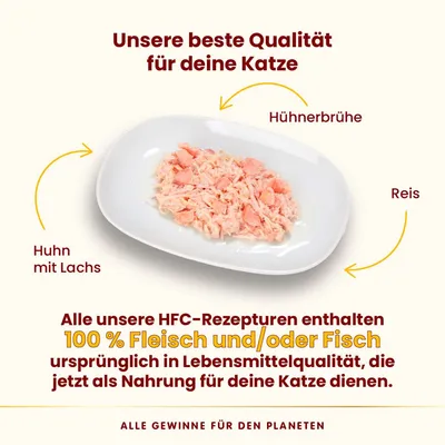 Unsere beste Qualität für Katzen: Huhn mit Lachs, Reis und Hühnerbrühe. HFC-Rezepturen mit 100% Fleisch und/oder Fisch in Lebensmittelqualität als Katzennahrung. Alle Gewinne für den Planeten.