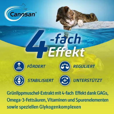 Canosan Grünlippmuschel-Extrakt mit 4-fach Effekt: fördert, reguliert, stabilisiert, unterstützt. Enthält GAGs, Omega-3-Fettsäuren, Vitamine, Spurenelemente und spezielle Glykogenkomplexe.