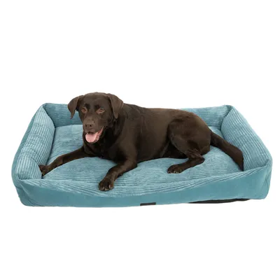 Cane sdraiato su un letto per cani rettangolare imbottito in blu con rivestimento in tessuto a coste.