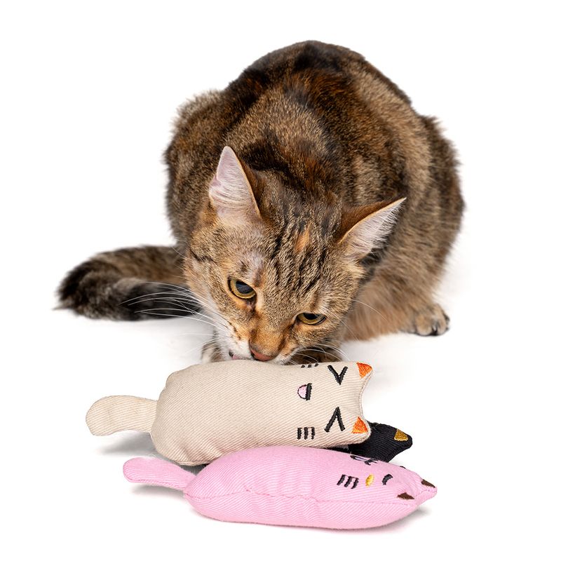 zooplus Basics Katzenspielzeug-Set Kitty mit Katzenminze