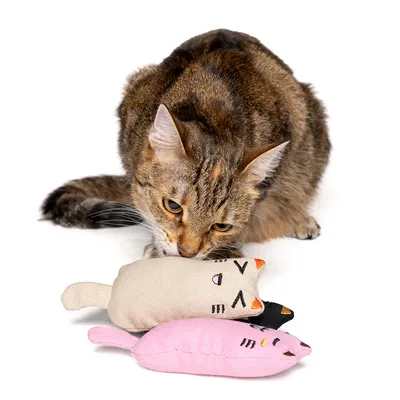 zooplus Basics Lot de jouets Kitty à l'herbe à chat