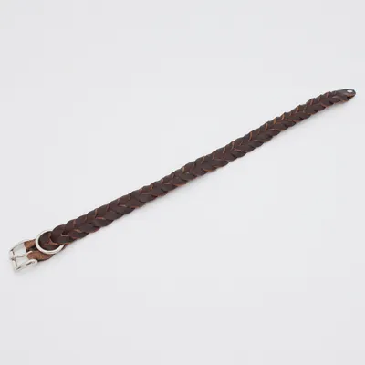 Gevlochten bruin leren band met zilverkleurige gesp, geschikt als halsband of accessoire.