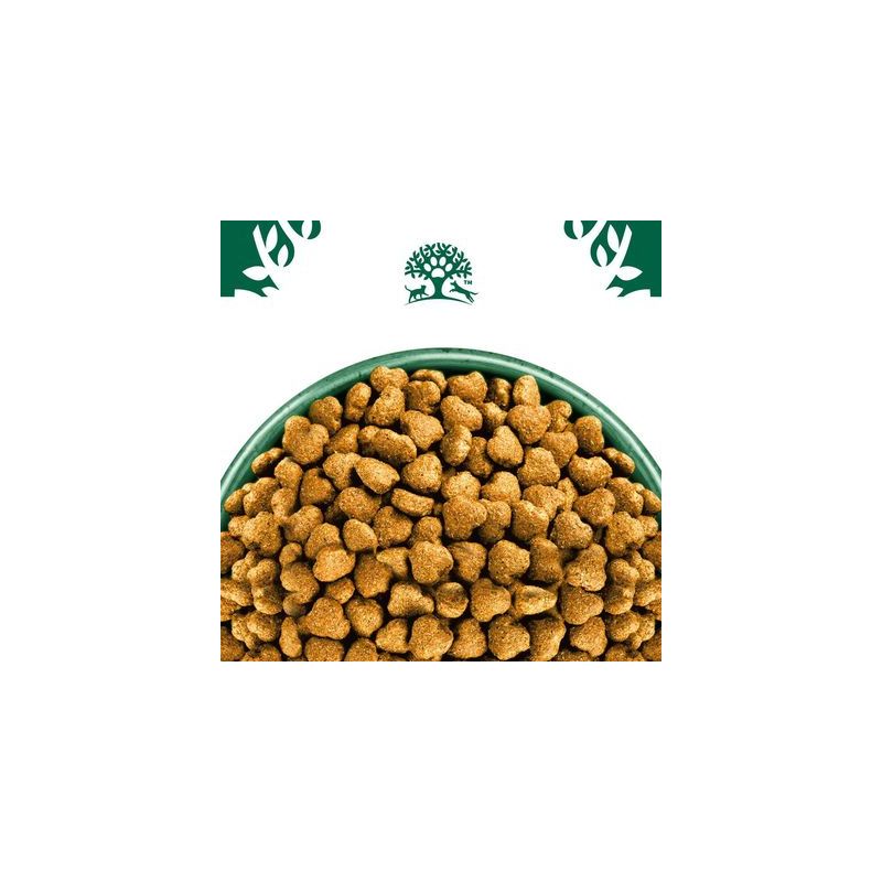 James Wellbeloved Adult Dog Hypoallergenic Lam & Rijst