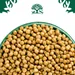 James Wellbeloved Kitten Hypoallergenic pulyka & rizs