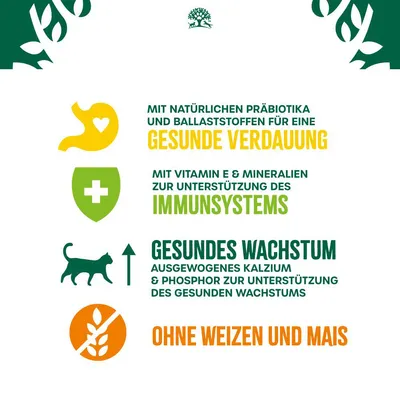 Texte en allemand : digestion saine, soutien du système immunitaire, croissance saine, sans blé ni maïs. Icônes d’estomac, croix médicale, chat, épi barré.