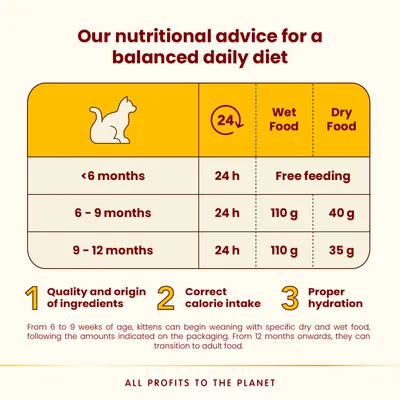 Tabuľka kŕmenia mačiatok: do 6 mesiacov 24 h, voľné kŕmenie; 6–9 mesiacov 24 h, 110 g mokré, 40 g suché; 9–12 mesiacov 24 h, 110 g mokré, 35 g suché. Kvalita, kalórie, hydratácia.
