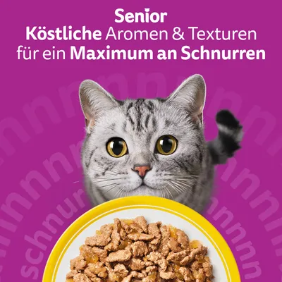 Whiskas Senior Beutel 120 x 85 g