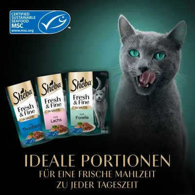 Sheba Fresh & Fine in Sauce mit Thunfisch, Lachs und Forelle. Zertifiziert nachhaltige Meeresfrüchte MSC. Ideale Portionen für eine frische Mahlzeit zu jeder Tageszeit.