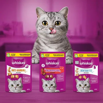Whiskas Snacks: Anti-Hairball mit Huhn 50g, Knuspertaschen mit Rind 60g, Dentabites mit Huhn 40g. Neue Verpackung mit 60% weniger Plastik, gleicher Geschmack.