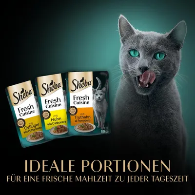 Sheba Fresh Cuisine mit Geflügel alla Puttanesca, Huhn alla Carbonara und Truthahn al Pomodoro. Ideale Portionen für eine frische Mahlzeit zu jeder Tageszeit.