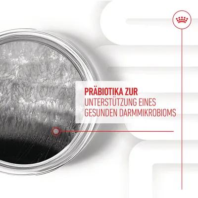 Präbiotika zur Unterstützung eines gesunden Darmmikrobioms.